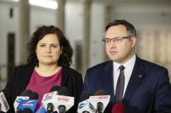 Ewa Lieder: PiS i Ministerstwo Środowiska dostało 30 dni na to, by zapobiec wycince drzew